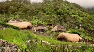 Най-малко 24 избити в племенни кланета в Папуа Нова Гвинея