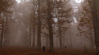 Днес преди обяд облачността над страната ще е значителна в