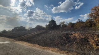 Втори ден продължава борбата с огъня който обхвана гориста местност