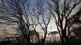 Най малко 900 пожарникари заедно техника се борят с овладяването на