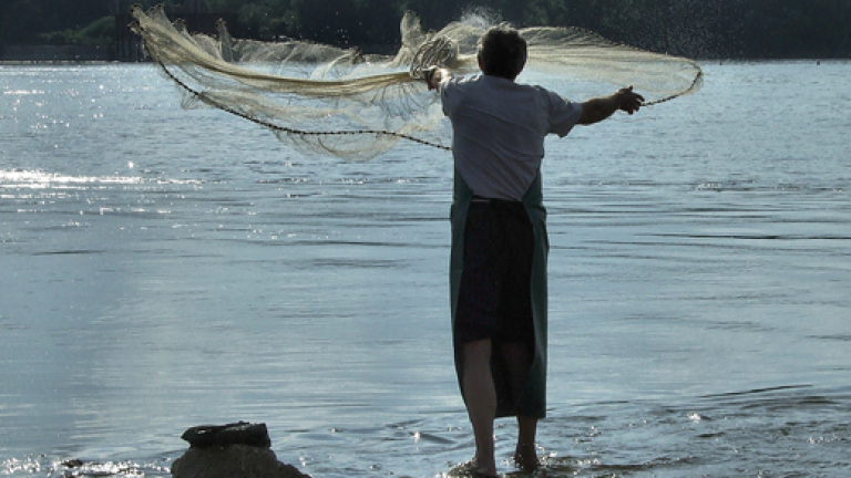 Изображение 63659