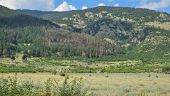 Търсят възрастна жена, изчезнала в Средна гора