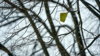 Днес ще е предимно слънчево но по късно през деня от