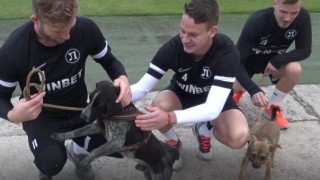 Проектът на Общинския приют за безстопанствени кучета гр Пловдив Доброто продължава