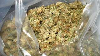 Полицията в Смолян откри и иззе 248 грама канабис от
