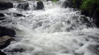 Водата от река Банска Луда Яна негодна