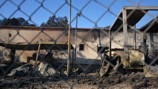 Германия призова останалите страни членки в Европейския съюз да приемат