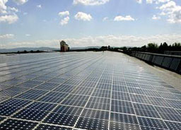 Тошиба строи слънчева електроцентрала в Ямбол