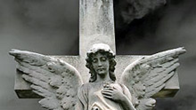 Изображение 5759