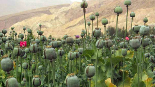 Съюзникът на Русия и Китай от региона Индокитай Мианмар