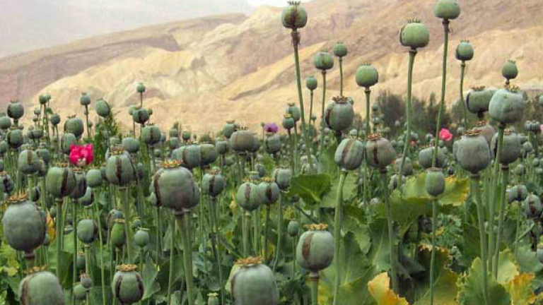 В Иран заловиха над 2 тона опиум