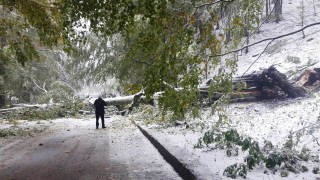 Новата седмица започва с валежи