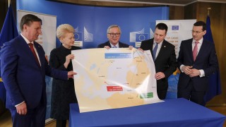 Президентът на Литва Далия Грибаускайте обяви че обмисля дали да