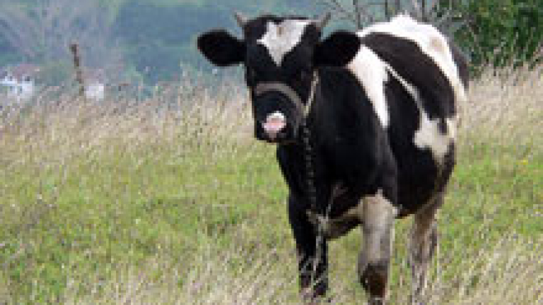 Изображение 16859