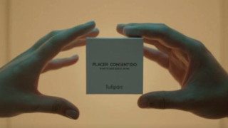 Tulipan е аржентинска компания която продава секс играчки и има