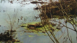 Извънредно положение беше обявено заради обилните валежи в някои части
