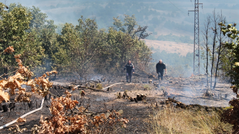 Изображение 247459