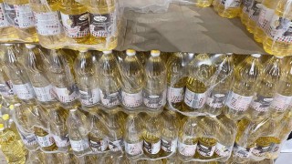 През март 2023 г почти всички страни от ЕС отчетоха