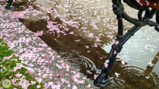 Облачен и дъждовен петък