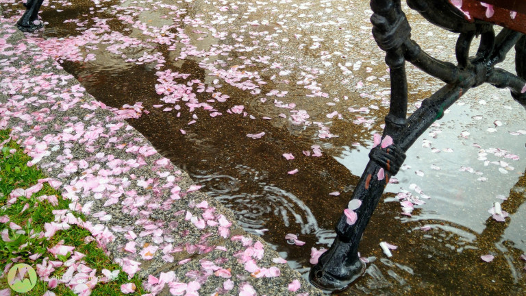 Облачен и дъждовен петък