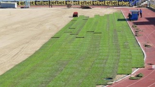 Започна полагането на тревата на "Огоста"