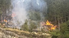 Причината за пожара в Шуменското плато - детска игра с пиратки