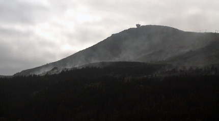 Изображение 137859