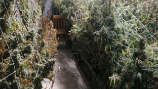 Провежда се акция Бяло срещу разпространителите на наркотици съобщи Нова