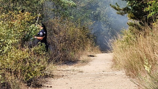 Пожар гори във вилната зона в Казанлък съобщи БТА позовавайки