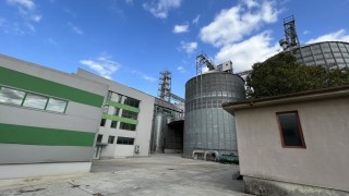 Модерна фабрика за преработка на слънчоглед производство на белени семки