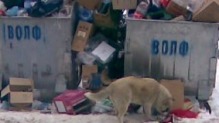 Обсъждат обявяването на криза заради боклука в София