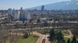 Силният вятър събори дървета и ламарини в София