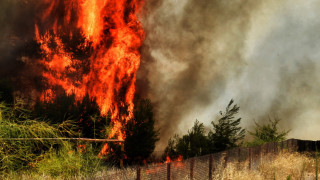 Голям горски пожар изпепели къщи на гръцкия полуостров Пелопонес съобщи
