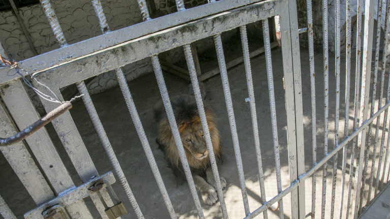 Изображение 499259