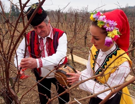 Историята на родното вино заслужава да се разказва у нас и по света