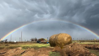 Любители сме на картофите във всякакъв вариант и поради тази
