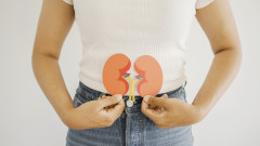 Навиците, с които неусетно увреждаме бъбреците си