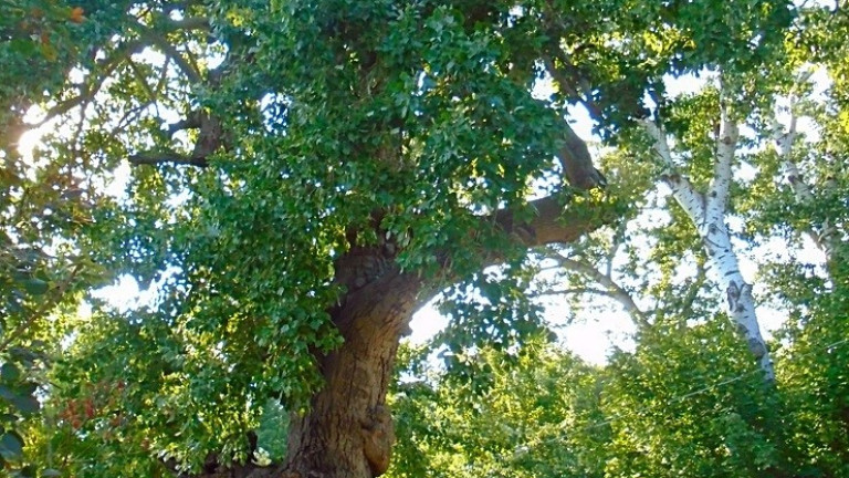 Изображение 402060