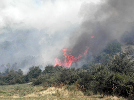 Огромен горски пожар край Мурсалево