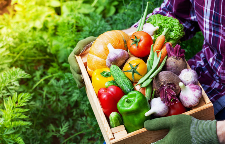 И редовно обираме готовата продукция