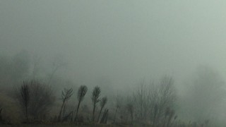 Намалена е видимостта поради мъгла до 50 м в района