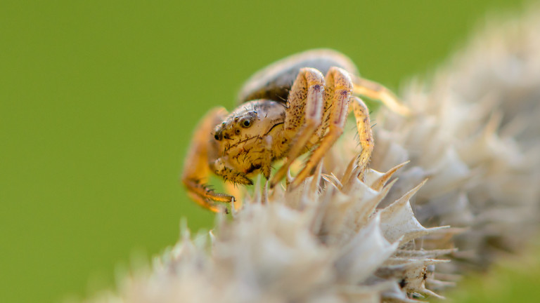 Изображение 362460