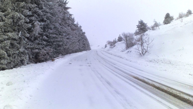 Заради снега има усложнения по пътищата в Североизточна България. Инспекторът