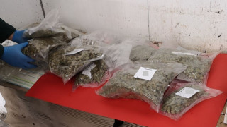 Митнически служители откриха 4 820 кг канабис при проверка на лек