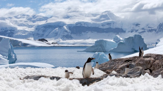 Топенето на ледник на Антарктида вероятно ще увеличи морското равнище