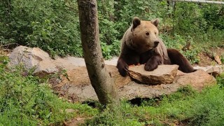 Екоинспекцията в Смолян провери първия за годината сигнал за нанесена