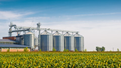 Един от големите износители на зърно у нас фалира