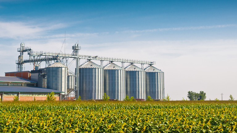 Един от големите износители на зърно у нас фалира