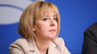 Лидерът на гражданската платформа Изправи се БГ Мая Манолова ще внесе