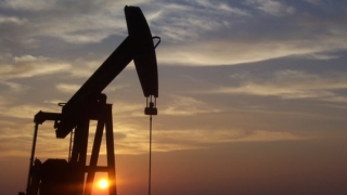 Египет откри ново петролно находище в Суецкия залив съобщава Ройтерс По